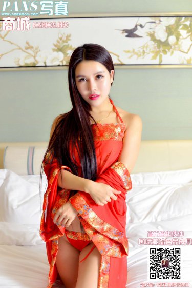 精灵宝可梦:比克提尼与黑之英雄捷克罗姆